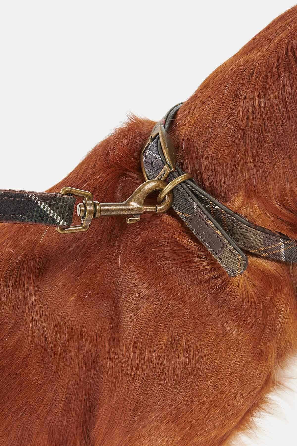 Tartan dog collar