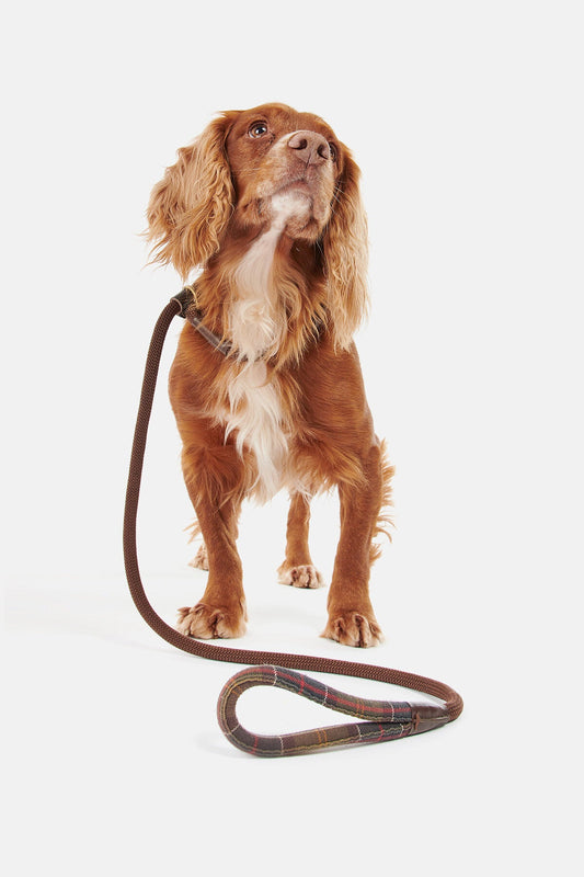Tartan Leash