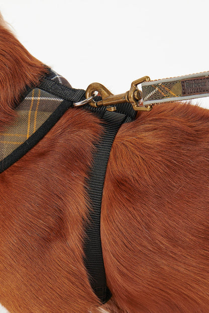 Tartan Dog Harness